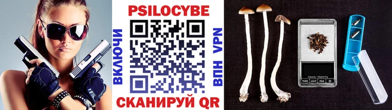 Псилоцибиновые грибы Cubensis МЕГА рабочий сайт Баксан