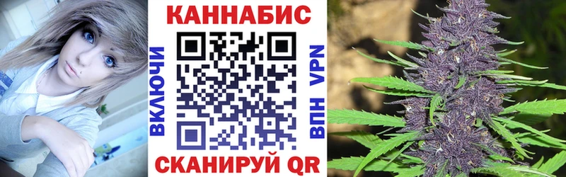 Конопля семена Баксан